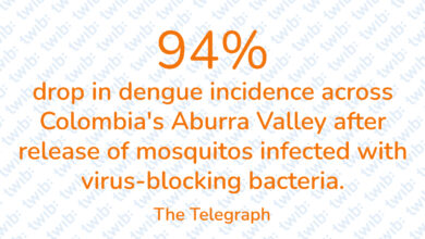 Did you know? 020623
