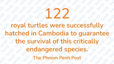 Did you know? 050623