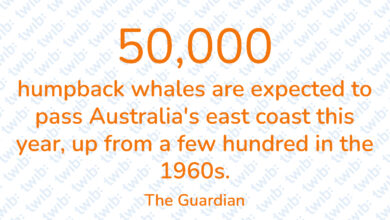 Did you know? 120623