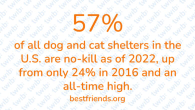 Did you know? 230623