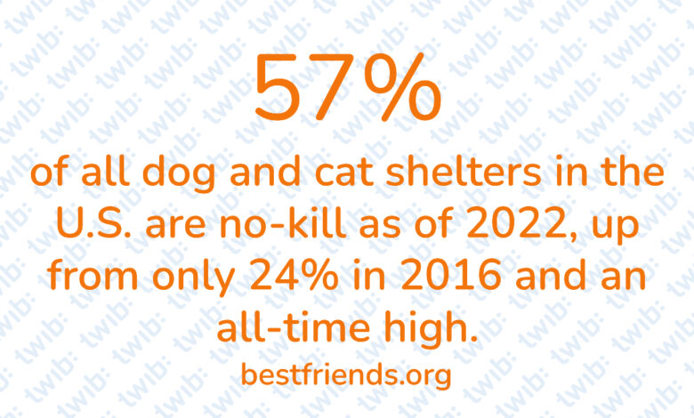 Did you know? 230623