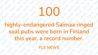 Did you know? 190723