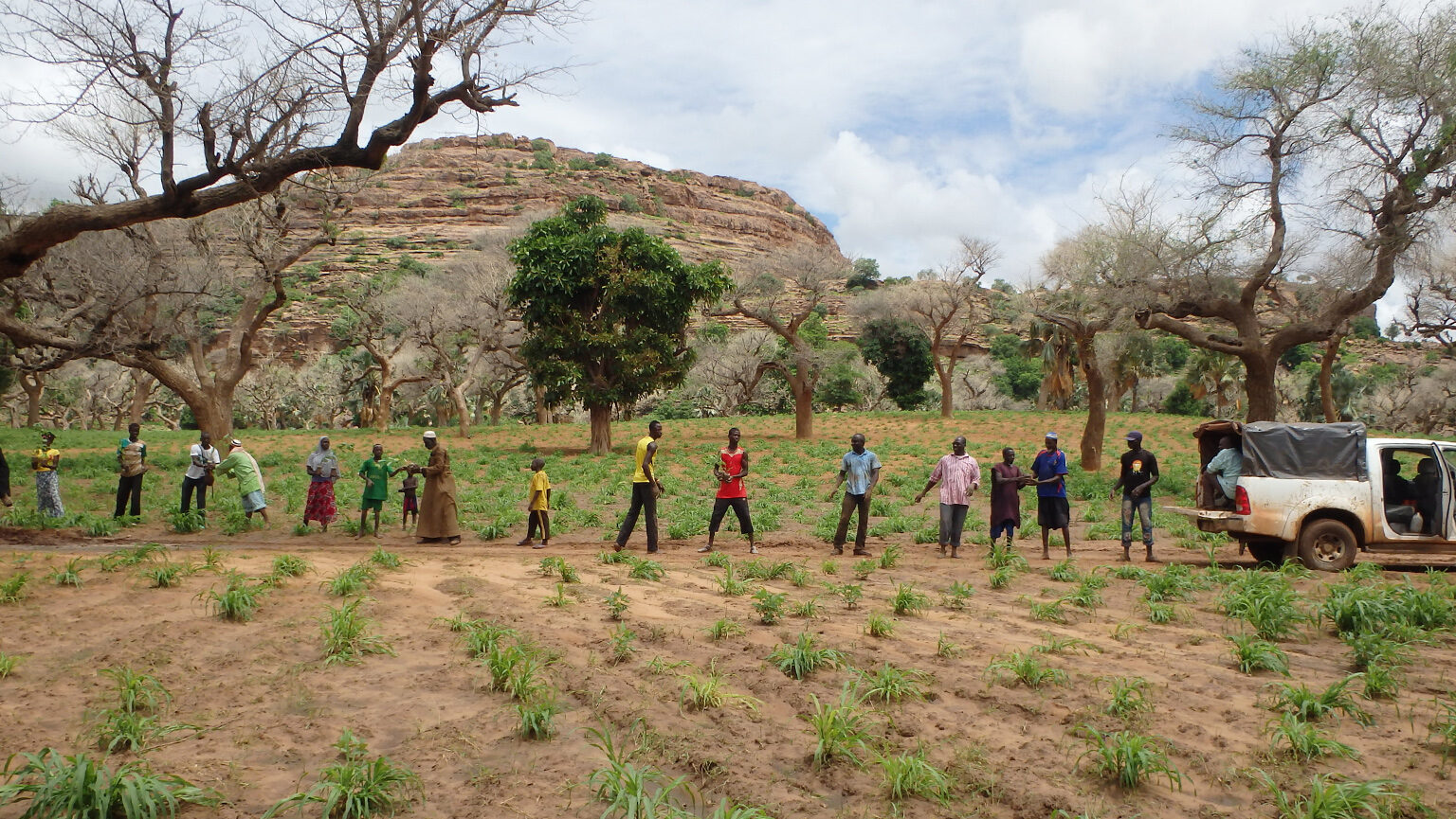 From Massive Desert, to a "Great Green Wall" twib.news