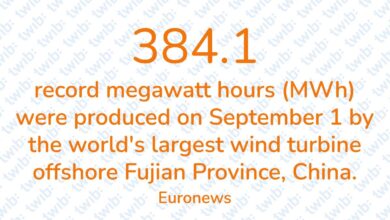 Did you know? 111023