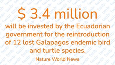 Did you know? 201023
