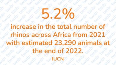 Did you know? 231023