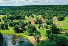 Rewilded Golf Course in Ohio, US