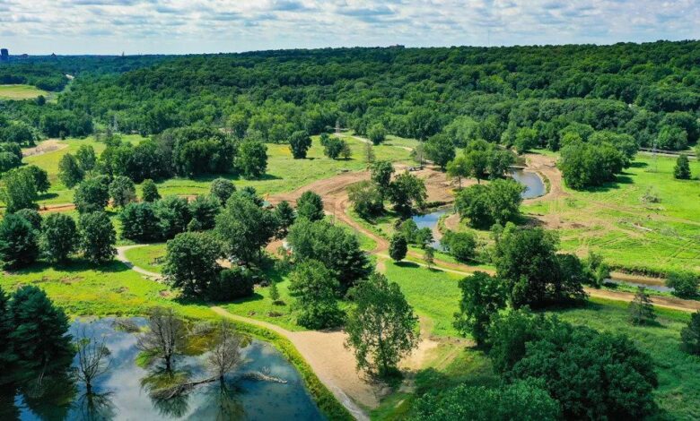 Rewilded Golf Course in Ohio, US