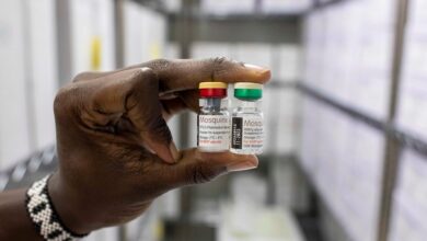 Malaria Vaccine Endorsed By WHO For First Time
