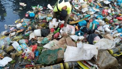 Plastic removal from barrier plastic in the ocean