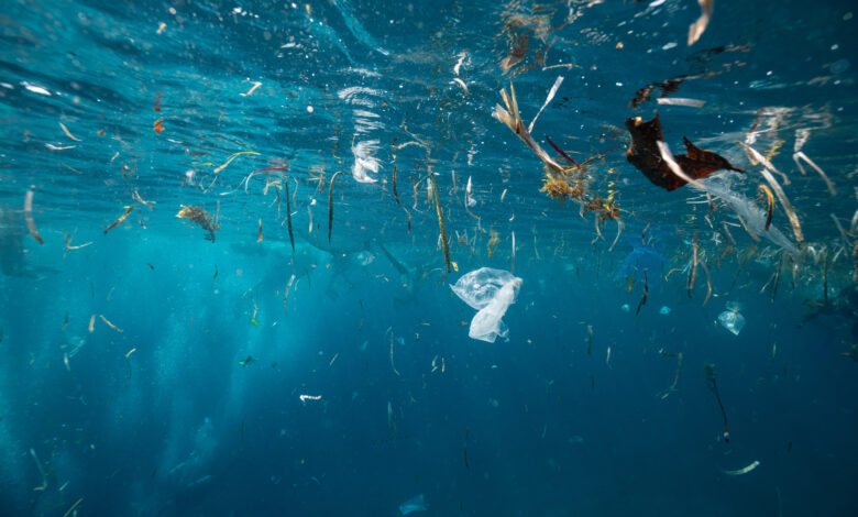 Plastic Trash & Garbage Underwater