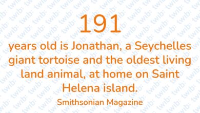 Did you know? 080124