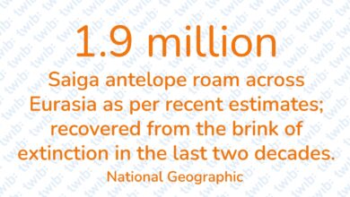 Did you know? 190124