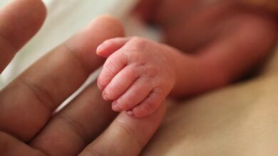 Close up hands of an adult hand holds hand of premature baby