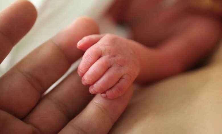 Close up hands of an adult hand holds hand of premature baby