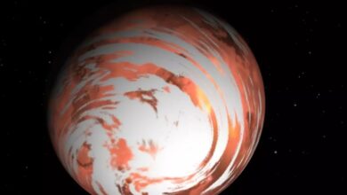 Newly discovered planet TOI-1452b