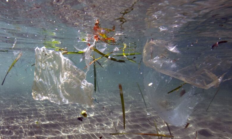 This illustration picture taken on May 30, 2019 shows plastic waste floating in the sea in Marseille. (Photo by Boris HORVAT / AFP) (Photo by BORIS HORVAT/AFP via Getty Images)