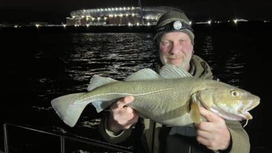 Tony Shep with a cod he caught near the Everton Stadium, a type of fish that had been caught far less in 2023