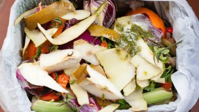 Food waste close up