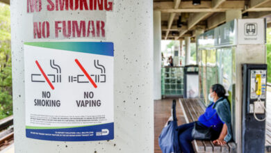Miami, Florida, Vizcaya Metrorail Train Station, bilingual sign no smoking vaping