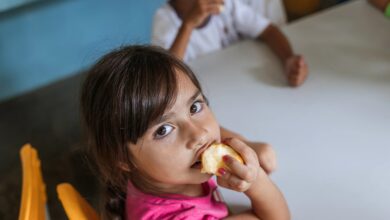 School Feeding Brazil