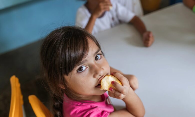 School Feeding Brazil