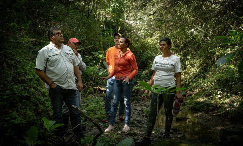 Members of the Plan Yaque team walking in the forest around La Pelada.
