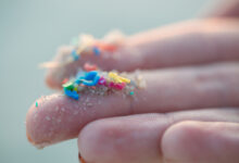 Researcher holding small pieces of micro plastic pollution washed up on a beach