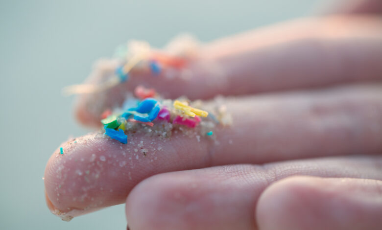 Researcher holding small pieces of micro plastic pollution washed up on a beach