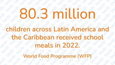 Did you know? 290324