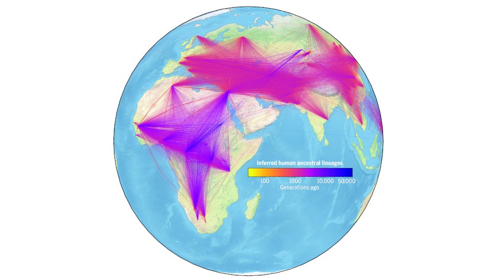 THE WORLD S LARGEST FAMILY TREE visual data 5