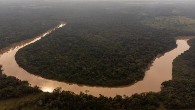 the Manacacías River