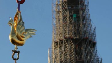 New golden rooster lifted to the top of the new spire of Notre Dame