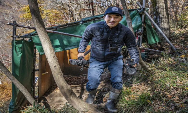 Seiichi Dejima, of The Nature Conservation Society of Japan emerges from his blind, used to observe a breeding pair of endangered Japanese Golden Eagles that live around the clearings he has cut in monoculture plantation forest to