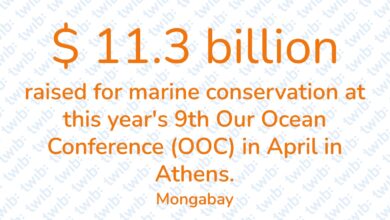 Did you know? 100524