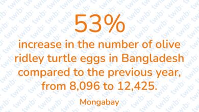 Did you know? 310524