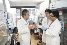 Dr. Elias Sayour, Chong Zhao and Arnav Barpujari discuss the mRNA cancer vaccine developed at the University of Florida