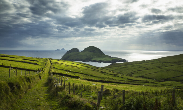 St. Finian's Bay, view of Puffin Island
