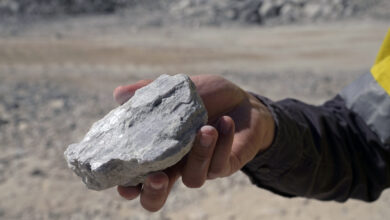 A Lithium Rich Rock