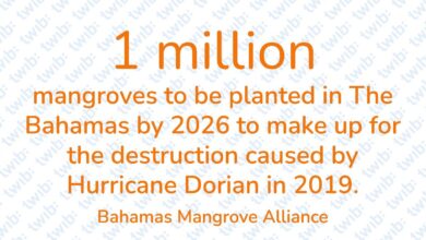Did you know? 041024