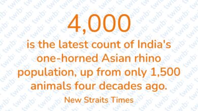 Did you know? 301024