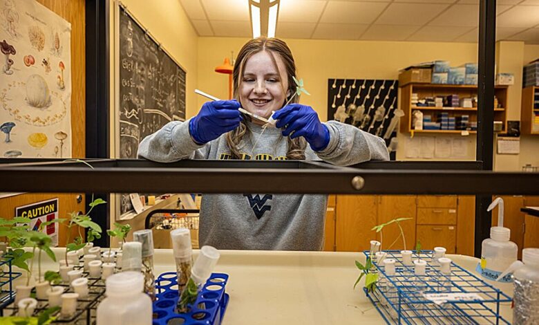 Corinne Hazel, a WVU environmental microbiology major from Delaware, Ohio