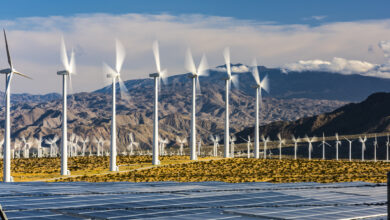 Wind Turbines and Solar Panels