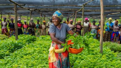 Communities prepare to plant indigenous trees on Nkombo island