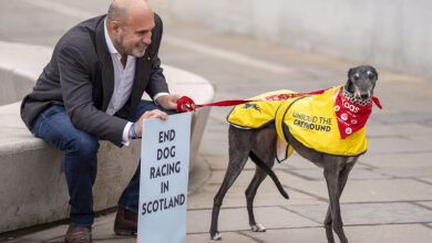 Bid to ban greyhound racing in Scotland