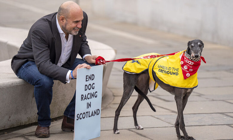 Bid to ban greyhound racing in Scotland