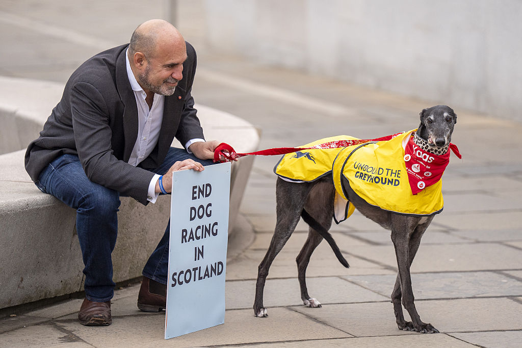 Tj Dog Racing Say Goodbye to Cruel Dog Racing | twib.news