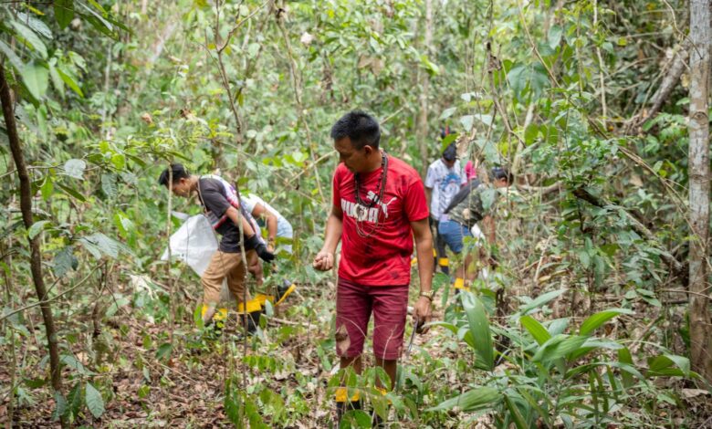 Seed collectors in Brazil