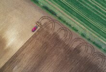 agriculture