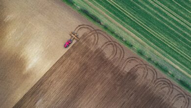 agriculture